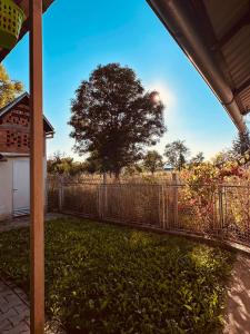a yard with a fence and a tree in the background at Kuća za odmor MEDUNIĆ in Gospić