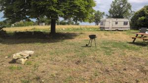 a grill sitting in the grass next to a tree at Le soleil se lève in Virac