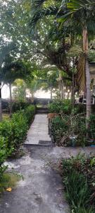 a garden with trees and a walkway at Amed beach homestay in Ambat