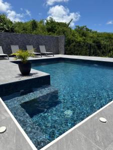 a swimming pool with chairs and a potted plant at Bas de villa in Grand-Bourg