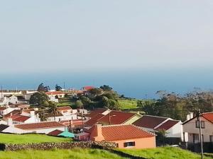 a group of houses on top of a hill at Casa de Cima in Doze Ribeiras +9 photos