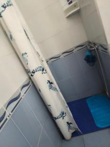 a bathroom with a shower with blue and white tiles at Rabat hassan in Rabat +20 photos