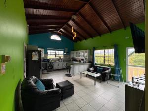 a living room with green walls and leather furniture at Ocean veiw Apartment in Telescope