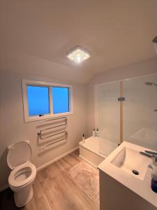 a bathroom with a toilet and a shower and a sink at Cozy Escape in Wanaka +15 photos