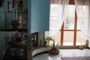 ein Wohnzimmer mit einem Kamin und einem Fenster in der Unterkunft Notti di luna in Potenza