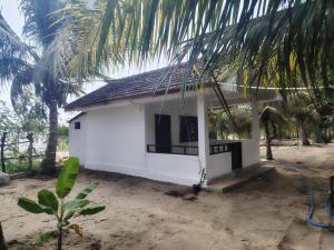 a small white house with a palm tree at Eco Palms in Pottuvil