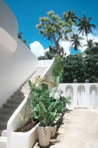 a stairway with potted plants and stairs with palm trees at bassa resort in Panglao Island