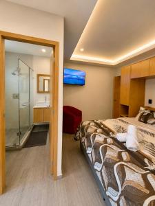 a bedroom with a bed and a shower and a sink at Suite Casa Mia in Ciudad Sahagún