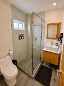 a bathroom with a shower and a toilet and a sink at Suite Casa Mia in Ciudad Sahagún +33 photos