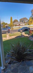 a plant in a yard next to a street with cars at Your gateway to the Lakes in Bairnsdale