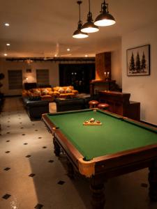 a living room with a pool table in a room at Nine Pines in Pīrmed