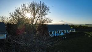 a tree in front of a house with a mountain in the background at Kerry Lane Motel in Hawera
