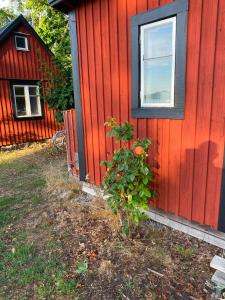 a red house with a plant in front of it at Havsutsikt in Ronneby