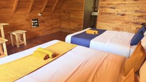 two beds in a room with wooden walls at Nature Bliss Ella in Ella