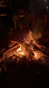a fire is burning in a fire pit at night at Cedar Crest Homestay in Kulu