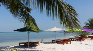 a beach with chairs and umbrellas and the ocean at Mori Khem Beach Homestay in Phú Quốc