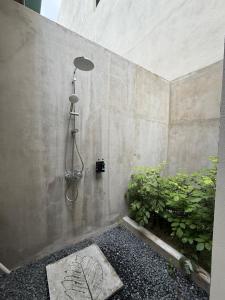 a shower in a bathroom with a plant at Piyo in Thoddoo