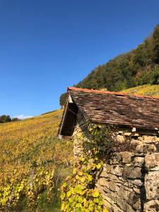 an old stone building on the side of a hill at Et la froumi in Lavigny