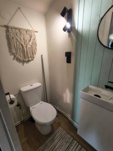 a bathroom with a white toilet and a sink at Tiny House Zagroda Kopytkowo in Ropica Górna