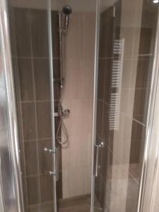 cabina de ducha con puerta de cristal y ducha en Falusi Vendégház en Etyek