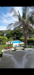 a palm tree next to a swimming pool at Bambú Alojamiento in Carmen de Apicalá