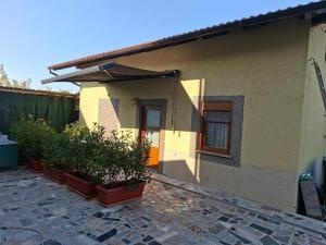 a house with potted plants in front of it at Apartments and Rooms "Almira" in Pula