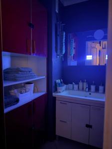 a bathroom with a sink and a mirror and a counter at CHAMBRE dans appartement moderne guest house in Menton +20 photos