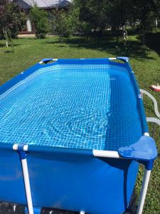 a small blue swimming pool in a yard at Прикарпаття in Kosiv