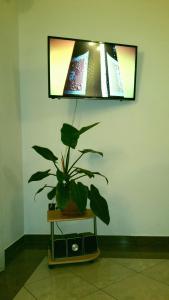 Μια τηλεόραση ή/και κέντρο ψυχαγωγίας στο Apartment Irena