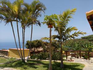 a group of palm trees on the beach at Casa Rural Los Padres A in Tijarafe