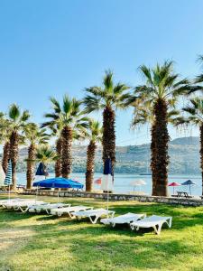 a row of chairs and umbrellas on a beach with palm trees at Small House in Bodrum in Milas