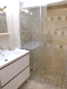 アヴィニョンにあるClos Réginel Remparts Sudのバスルーム(シャワー、洗面台、トイレ付)