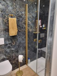 a bathroom with a shower and a toilet at Valle du mezzane in Valle-di-Mezzana