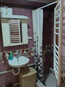 a bathroom with a sink and a mirror at Stan na dan in Pljevlja +12 photos