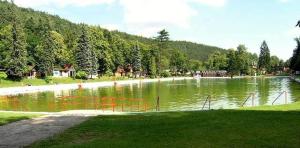 a lake with a bunch of objects in the water at Chatová Osada Pohádka in Vazačka