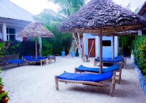 a group of chairs and umbrellas on a beach at Datch Hideaway in Kiwengwa