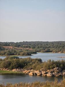 an aerial view of a river with trees and rocks at Pensão Destino in Castelo de Vide +46 photos
