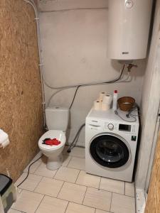 a small bathroom with a washing machine and a toilet at Stovyklavietė Dauba in Šyliai