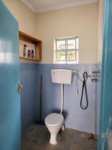 a bathroom with a toilet and a shower at LaDee Homes Cozy 1 bedroom in Kakamega - Old National Housing Estate in Kakamega
