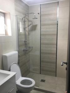 a bathroom with a shower with a toilet and a sink at Salt Holiday in Praid