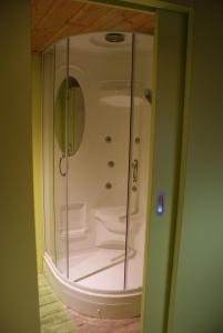 a shower with a glass door in a bathroom at Pension im Glück Thale in Thale +104 photos