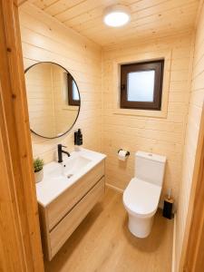 a bathroom with a toilet and a sink at Chalet O Refúgio 2 in Penhas da Saúde +4 photos