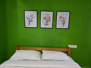 a green bedroom with a bed with four pictures on the wall at Barza Inn in Kakkanad