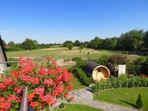 a garden with pink flowers and a bird house at Noor-OG-mit-Studio-Nr-4 in Haby