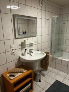a bathroom with a sink and a shower and a mirror at Wohnung mit Terrasse in Hirschaid