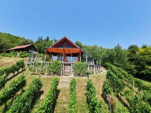 a cabin in the middle of a vineyard at Hiška oddiha - Rest house in Sromlje +19 photos