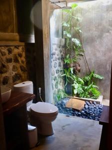 a bathroom with a toilet and a fish tank at Villa Hola Agung in Karangasem +41 photos
