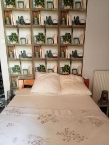 a bedroom with a bed with bookshelves and potted plants at Le repaire des écureuils in Bourg-Argental