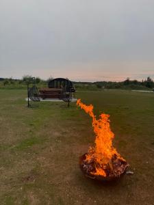 a fire pit in a field next to a bench at Log Off Männivälja forest cabins in Odulemma