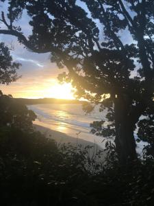 a sunset over the water with a tree at Doubtless Bay Retreat in Coopers Beach